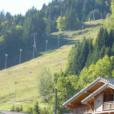 Bel 40m², Proche Centre Morzine, 6 Pers., Balcons, Animaux Admis - Fr-1-524-23